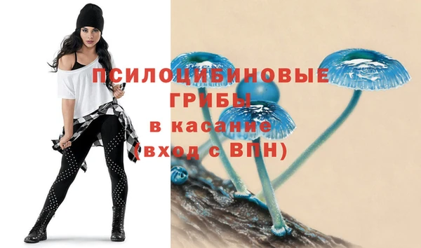 прущий лед Каменногорск