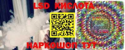 ALPHA PVP Камышлов