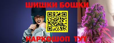 индика Кандалакша