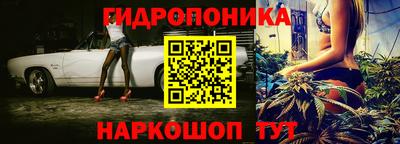 дмт Канаш