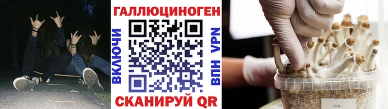 Галлюциногенные грибы GOLDEN TEACHER  где найти наркотики  Норильск 